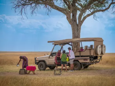 Groupe de touristes en safari guidé en Afrique, véhicules et paysage